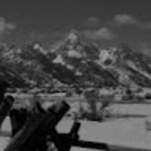 Meet your Posher, Shane